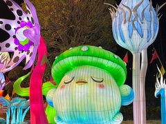 -海合安武汉极地海洋公园