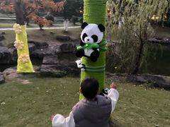 -宁波九龙湖开元度假村