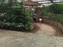 -上海都市菜园