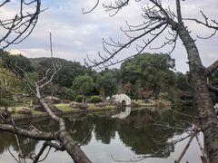 -白马涧龙池景区