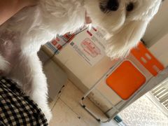 -深圳野生动物园宠物医院(西湖林语店)