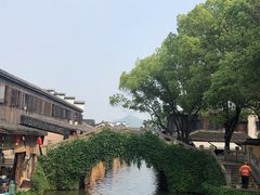 -仓桥直街臭豆腐