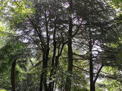 -华山儿童公园