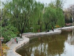 -团结湖公园
