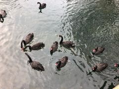 -长白岛森林公园