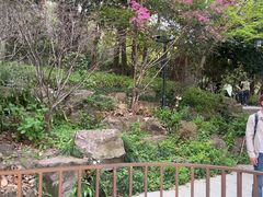 -东明山森林公园