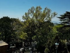 -青岛德国总督楼旧址博物馆