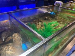 -V-ONE西雅图海鲜自助餐厅(仓山万达广场店)