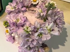 -5Cake五度无蔗糖低脂蛋糕(陶然亭店)