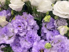 -静岸花卉园艺(三星坊店)