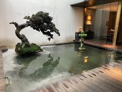 -觀芷隐轩