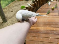 -万宝财富商业广场