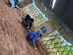 -房山世界地质公园博物馆