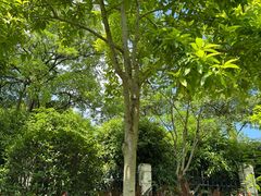 -天悦阁海景酒廊