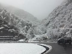 -江南天池