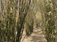 -前小桔亲子创意农场·草莓采摘·露营烧烤