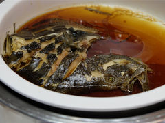 -银鲨国际美食百汇(金牛万达广场店)