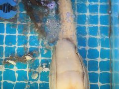 -金海湾海鲜排档(朱家尖店)