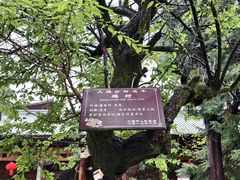 -大理文庙(大理古城)