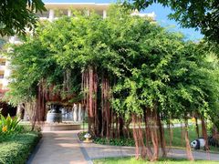 -三亚亚龙湾天域度假酒店