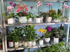 -花心思鲜花店(武昌徐东店)