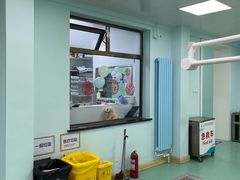 -北京观赏动物医院·24小时大型综合·猫专科·异宠专科