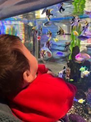 -酷嗒动物文化乐园(cutezoo西溪乐天城店)