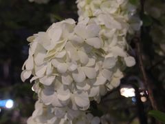 -大龙山(地铁站)