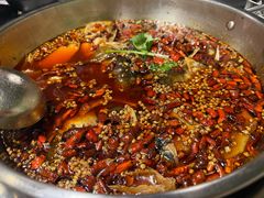 -味之绝热血美蛙鱼火锅(中坝店)