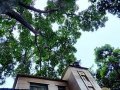 -Bombay Grill印度餐厅