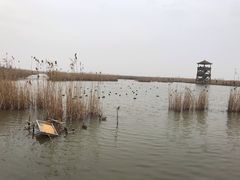 -盐城丹顶鹤湿地生态旅游区