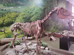 -陕西自然博物馆