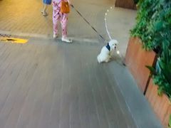 -万科美好广场