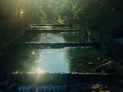 -广州白江湖森林公园