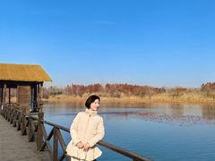 -溱湖国家湿地公园