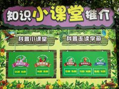 -广州长隆飞鸟乐园