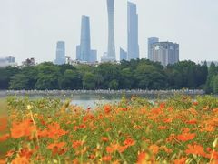 -海珠湖公园