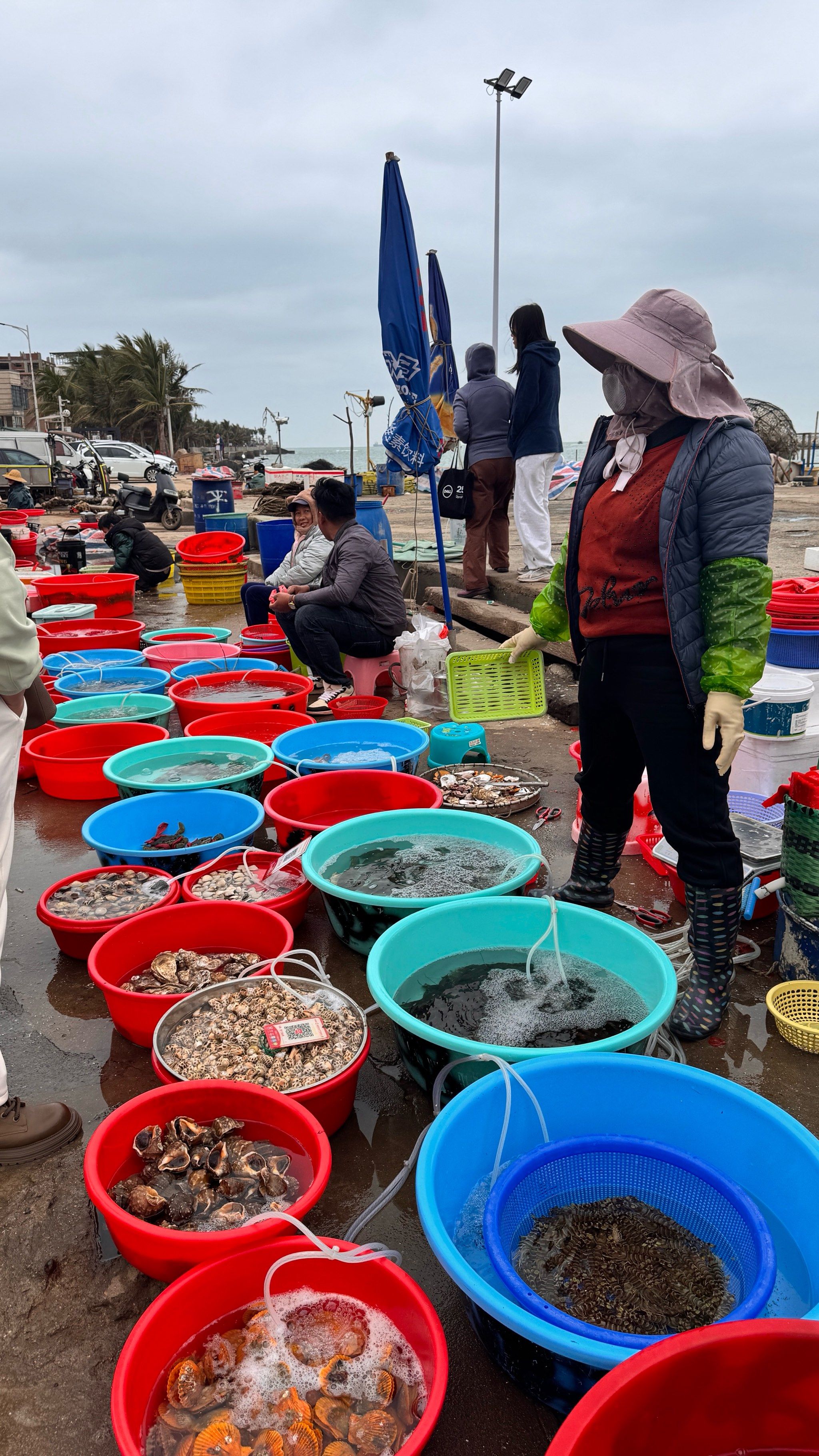 来海南不在这边买海鲜 亏到肠子都悔青了