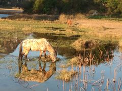 -普者黑风景区-青龙山