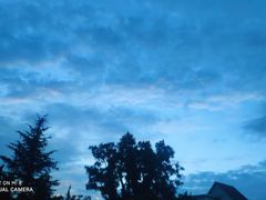 -小倩倩•鸡汤馄饨(江西路创始店)