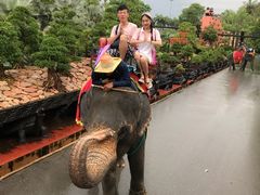 -东芭乐园