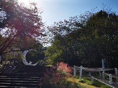 -杭州少年儿童公园