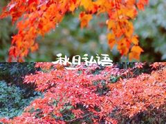-光雾山旅游景区