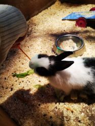 -酷嗒动物文化乐园(cutezoo西溪乐天城店)