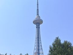-龙塔