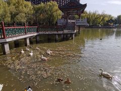 -大明幻境第一城