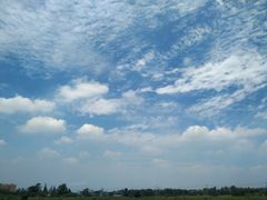 -老鼎万春卤菜(鹭湖宫8区店)