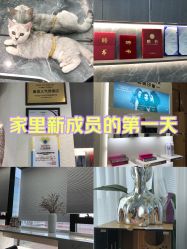 -Sying杉影日式烫染專門店