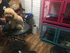 -Goku PET SHOP宠物视觉生活馆(双井店)
