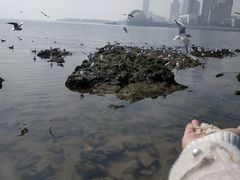 -小孙家厨(长春路店)